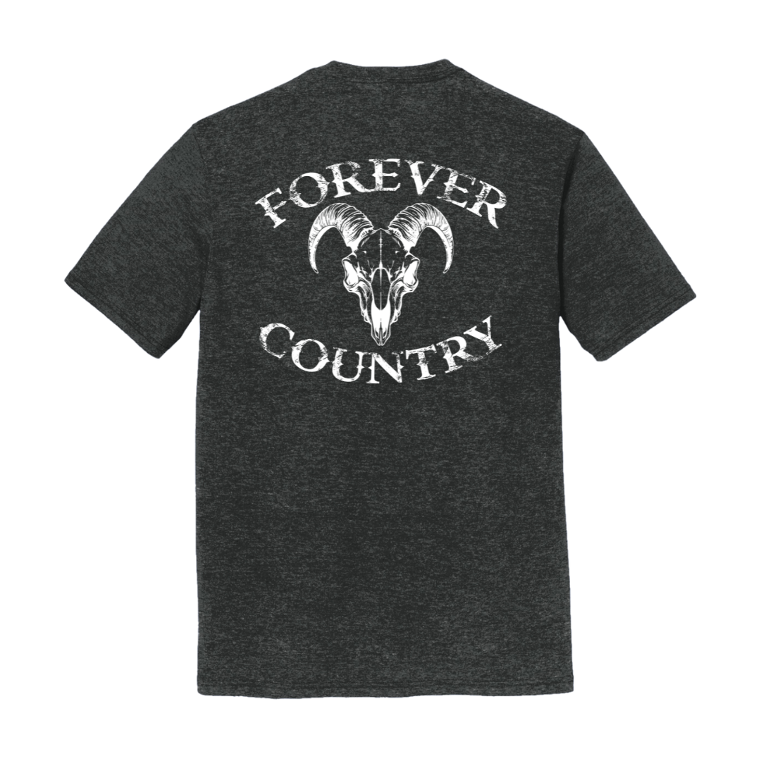 Forever Country GOAT image 1